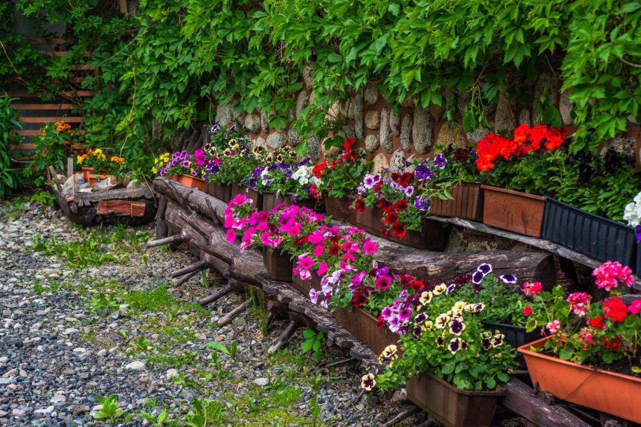 Pokoje Z Widokiem Na Gory I Prywatny Domek Z Zadaszona Altana - Grillem I Ogniskiem. زاكوباني المظهر الخارجي الصورة